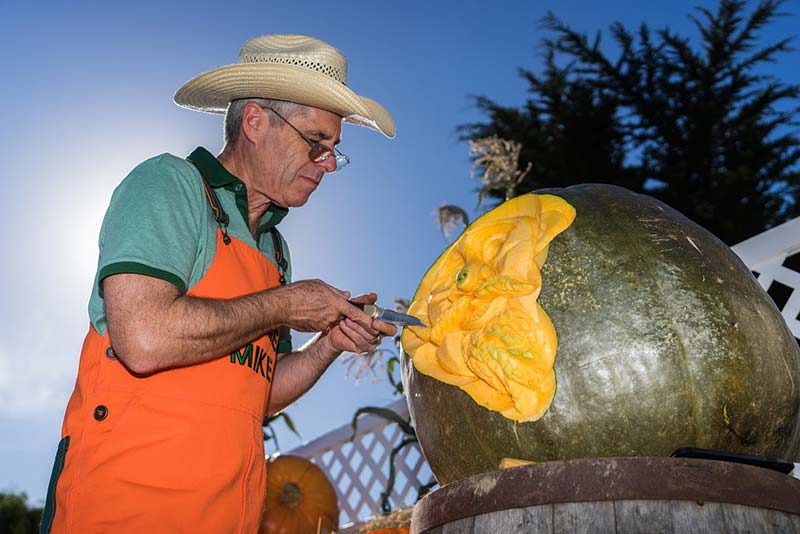 Farmer Mike carves pumpkins at the annual festival