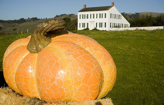 world's largest pumpkin sculpture by Peter Hazel