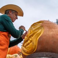 Farmer Mike carving a giant pumpkin