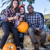 Pumpkin Harvest Ale with friends